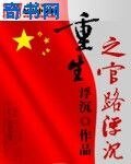 重生之官路浮沉